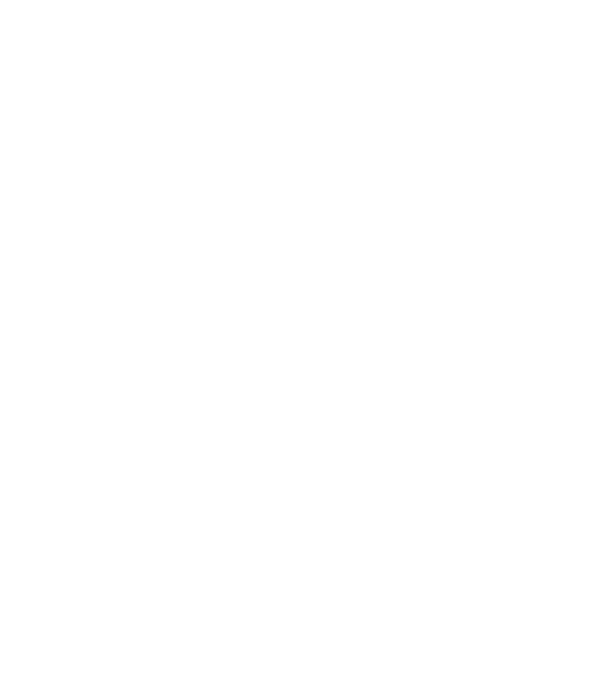 logo blanco